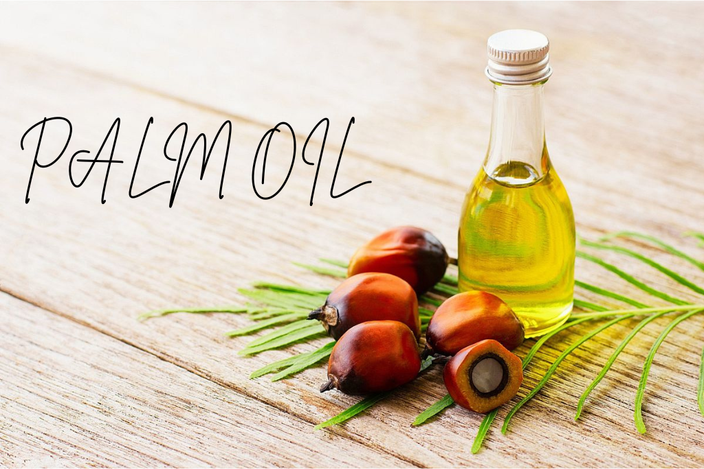 Palm Oil and Cancer Risk: What Does Science Say?